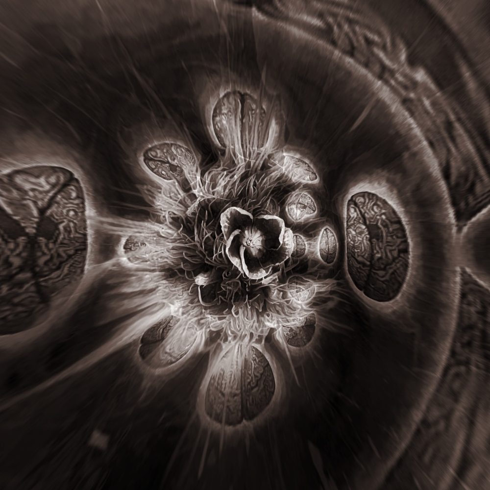 IMG_20220502_055947_784