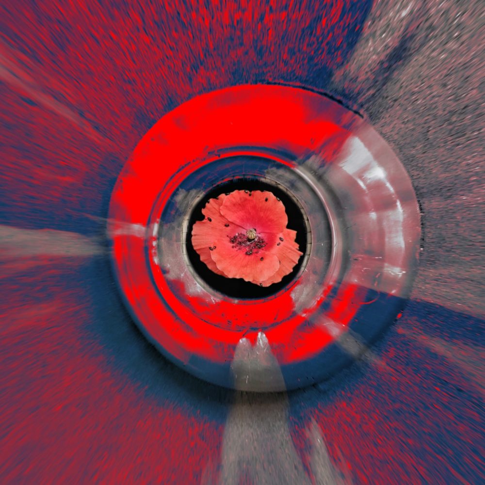 IMG_20220606_132053_813